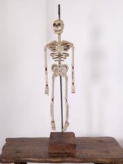 Skeleton Puppet