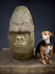 Monumental Carved Stone Gorilla Bust