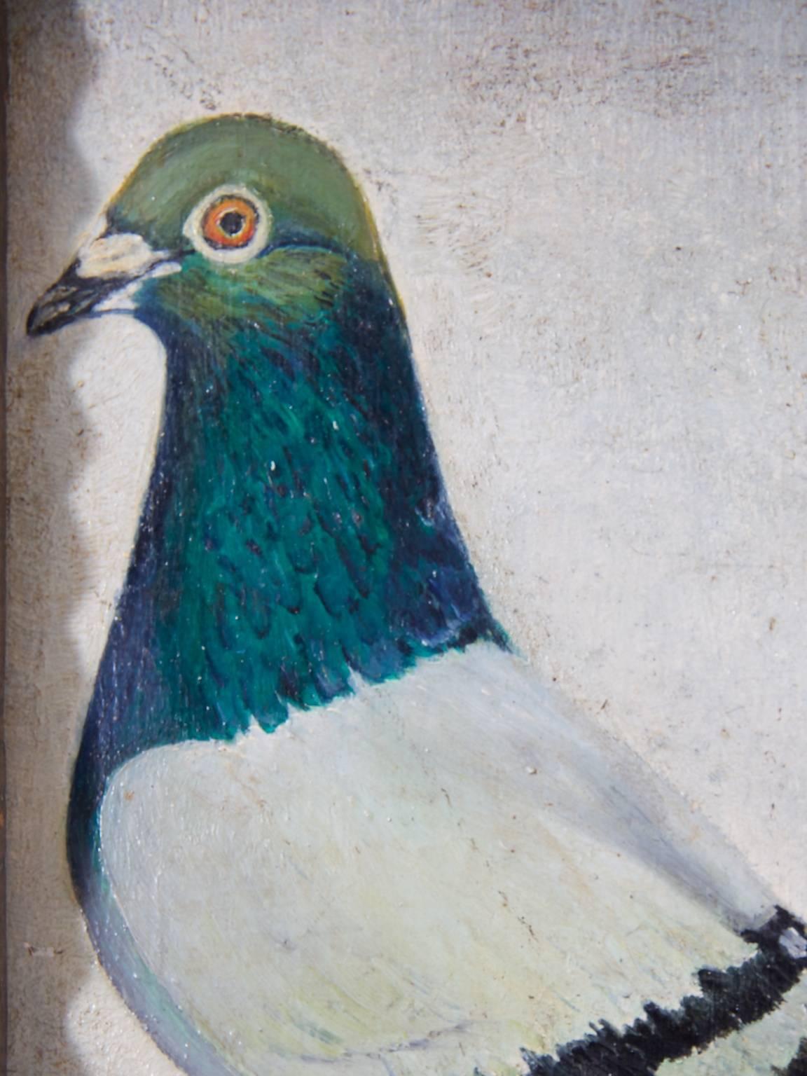 Georgian Pigeon Painting