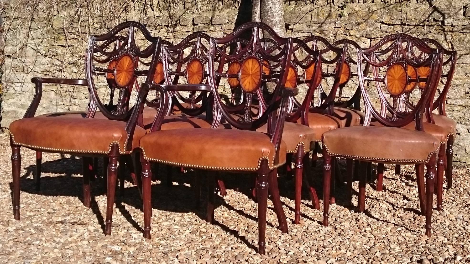 20th Century Large Set of 14 Edwardian Period Hepplewhite Mahogany Antique Dining Chairs