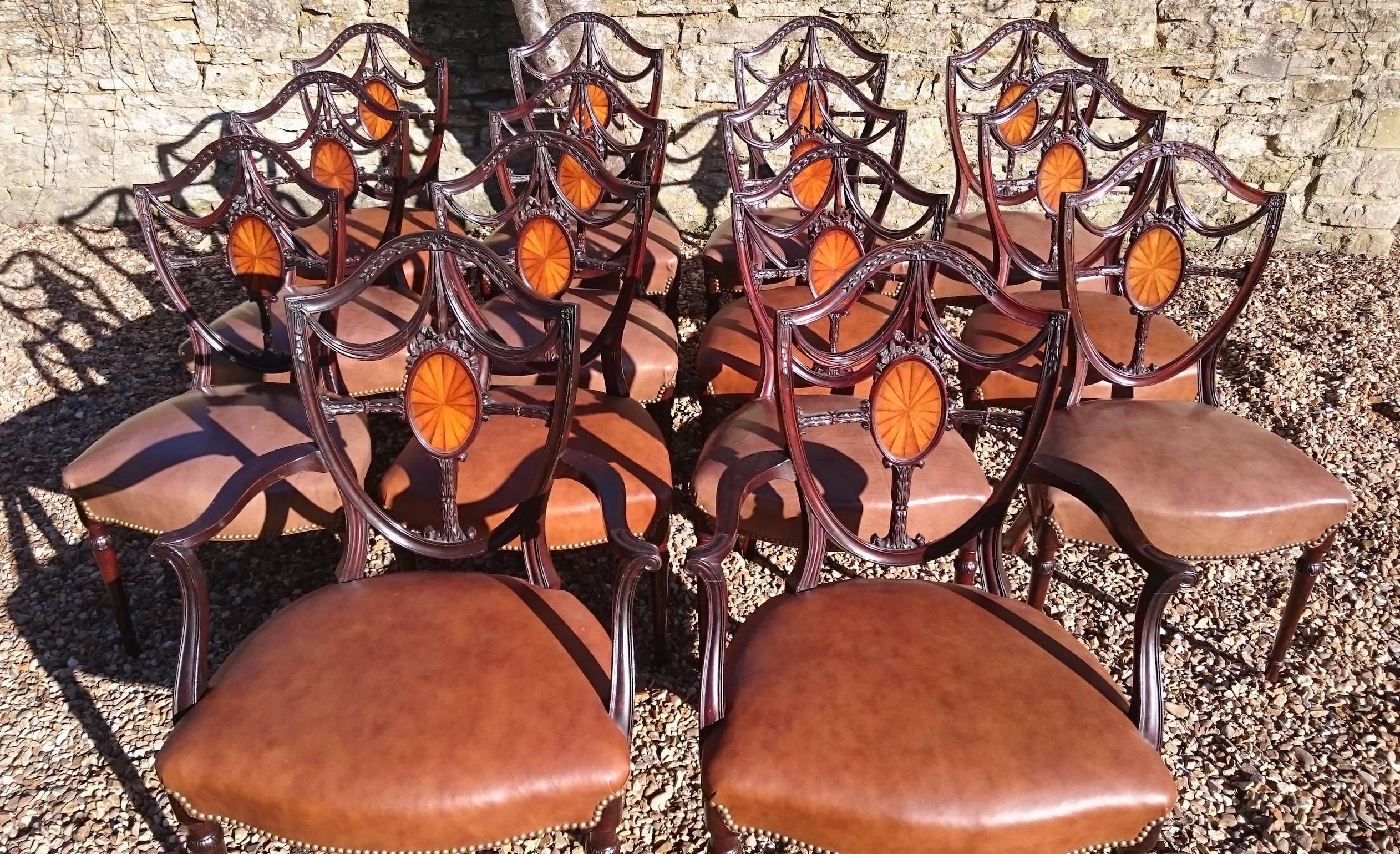 Large Set of 14 Edwardian Period Hepplewhite Mahogany Antique Dining Chairs 2