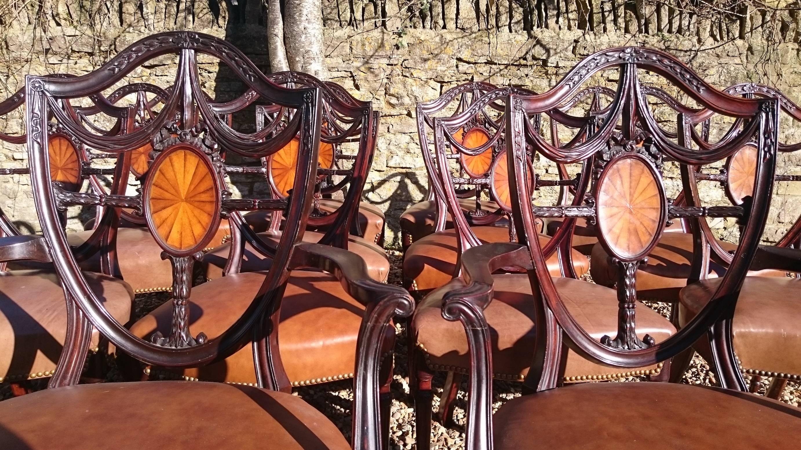 Large Set of 14 Edwardian Period Hepplewhite Mahogany Antique Dining Chairs 1
