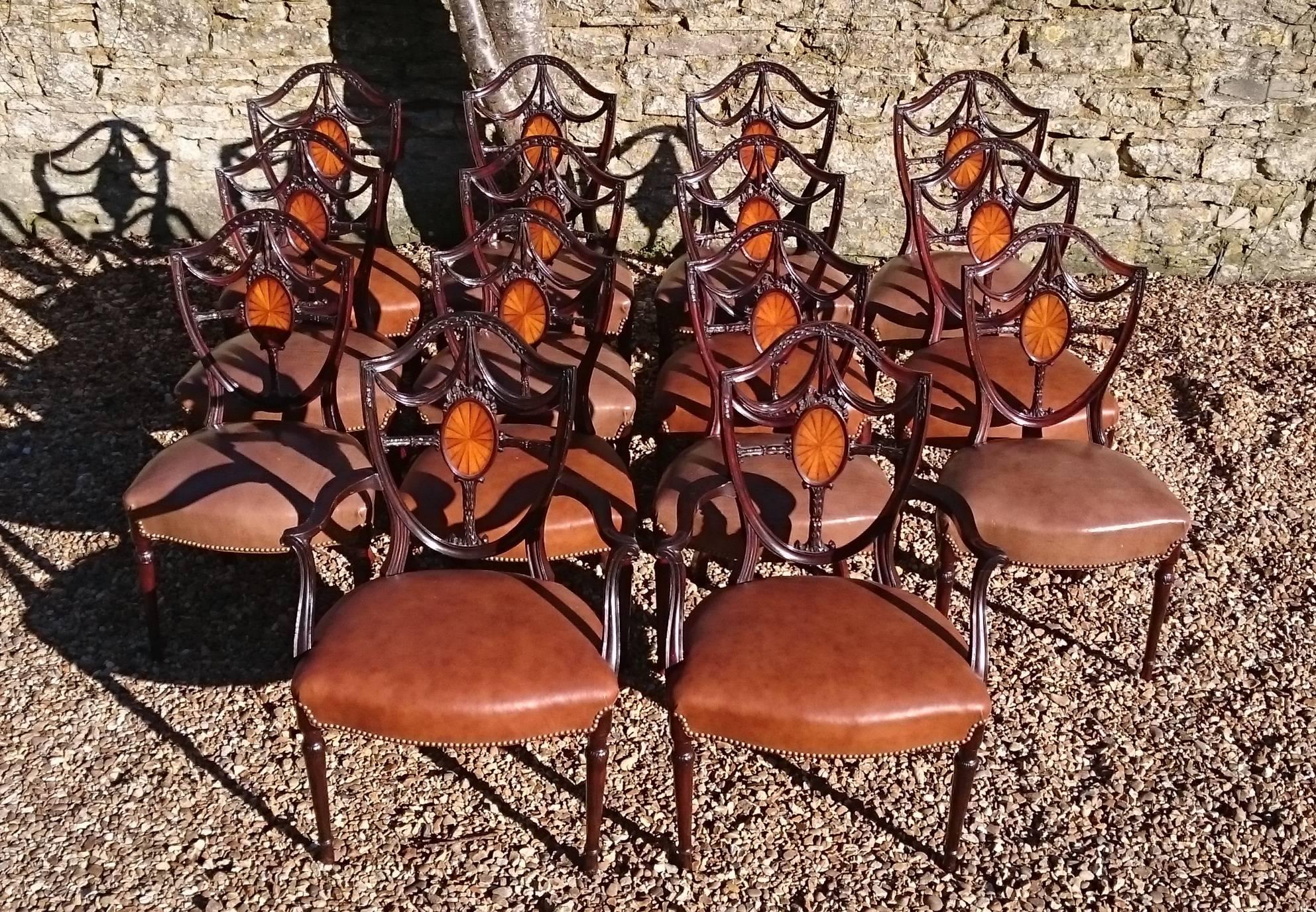 Large set of 14 Edwardian period Hepplewhite antique dining chairs. This is a remarkably fine quality set of dining chairs made after designs by the renowned 18th century furniture designer George Hepplewhite. Although there is no furniture