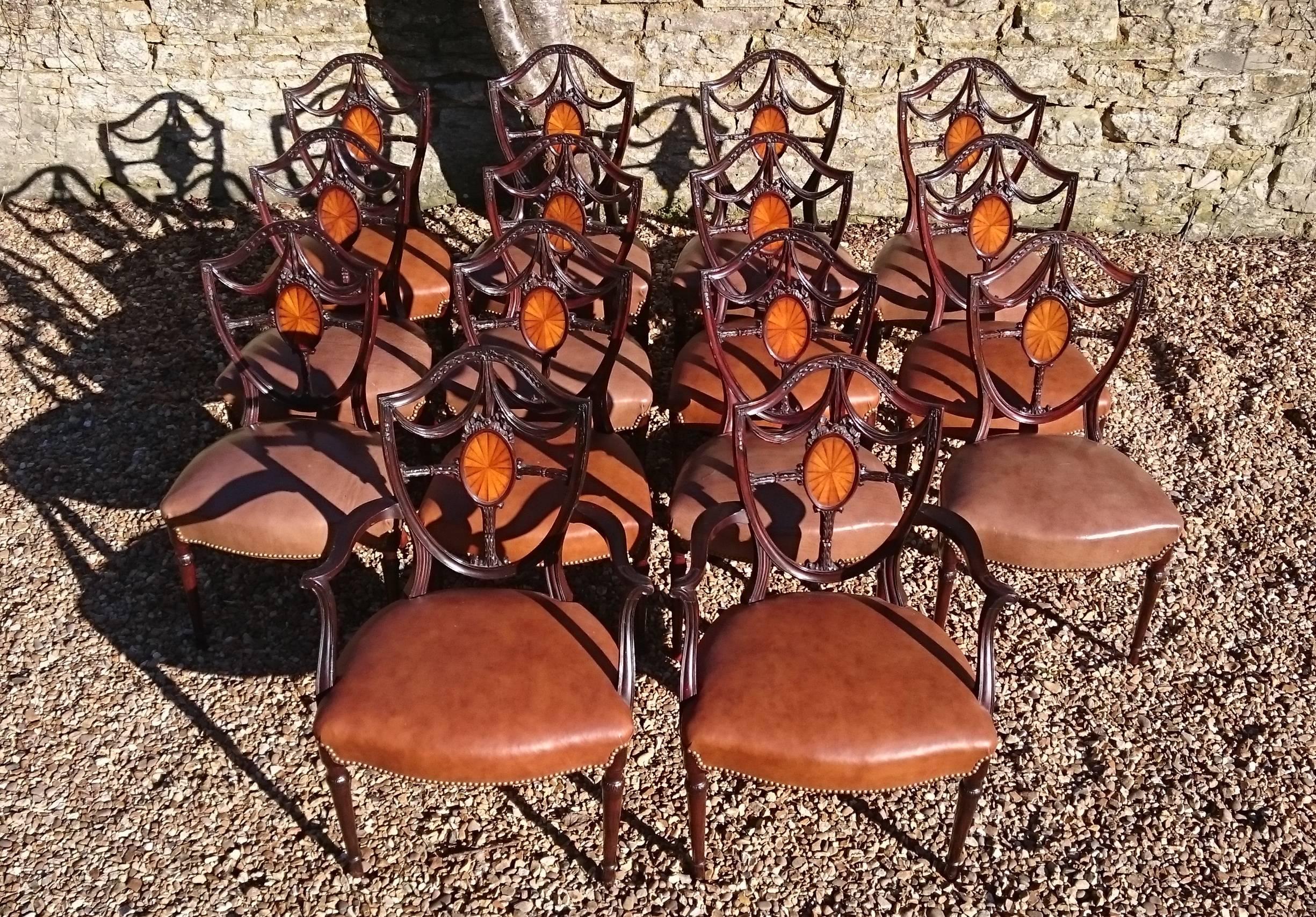 British Large Set of 14 Edwardian Period Hepplewhite Mahogany Antique Dining Chairs
