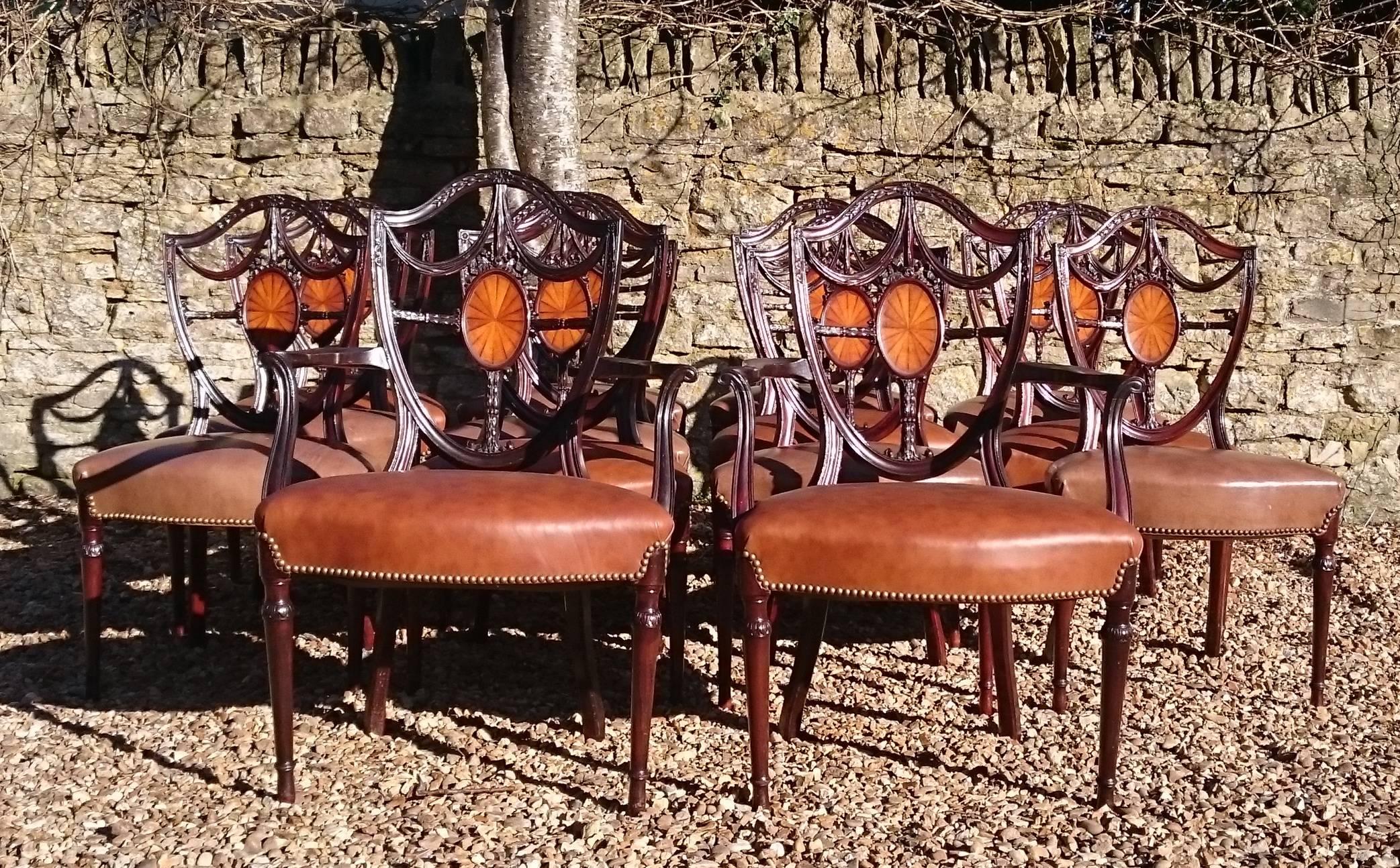 Large Set of 14 Edwardian Period Hepplewhite Mahogany Antique Dining Chairs In Excellent Condition In Gloucestershire, GB