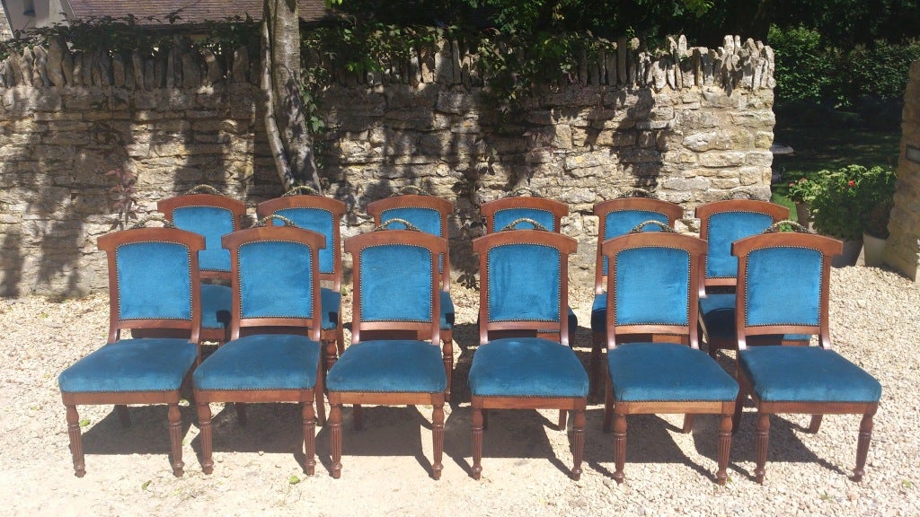Set of 12 comfortable French antique dining chairs with elegant reeded legs, padded backs and brass handle to top of back. These are unusually comfortable chairs, especially for the period and are the sort of statement piece that will really enhance