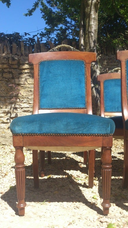 Walnut Set of 12 Comfortable Dining Chairs from 1860 For Sale