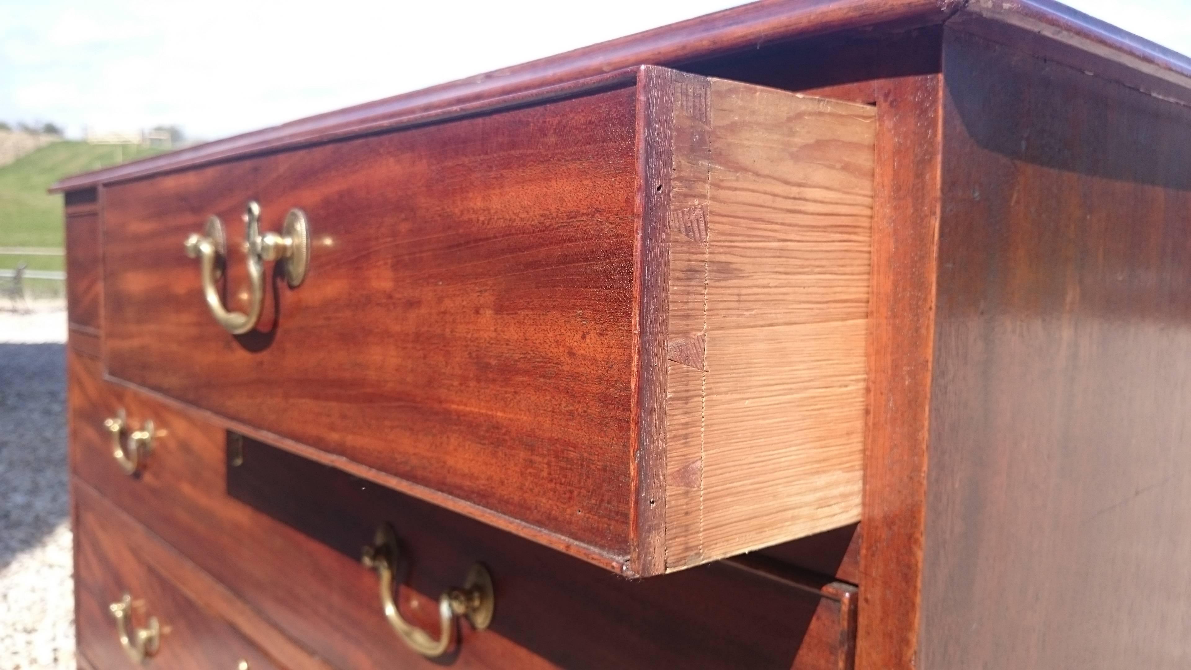 Antique Chest of Drawers Cuban Mahogany For Sale 2