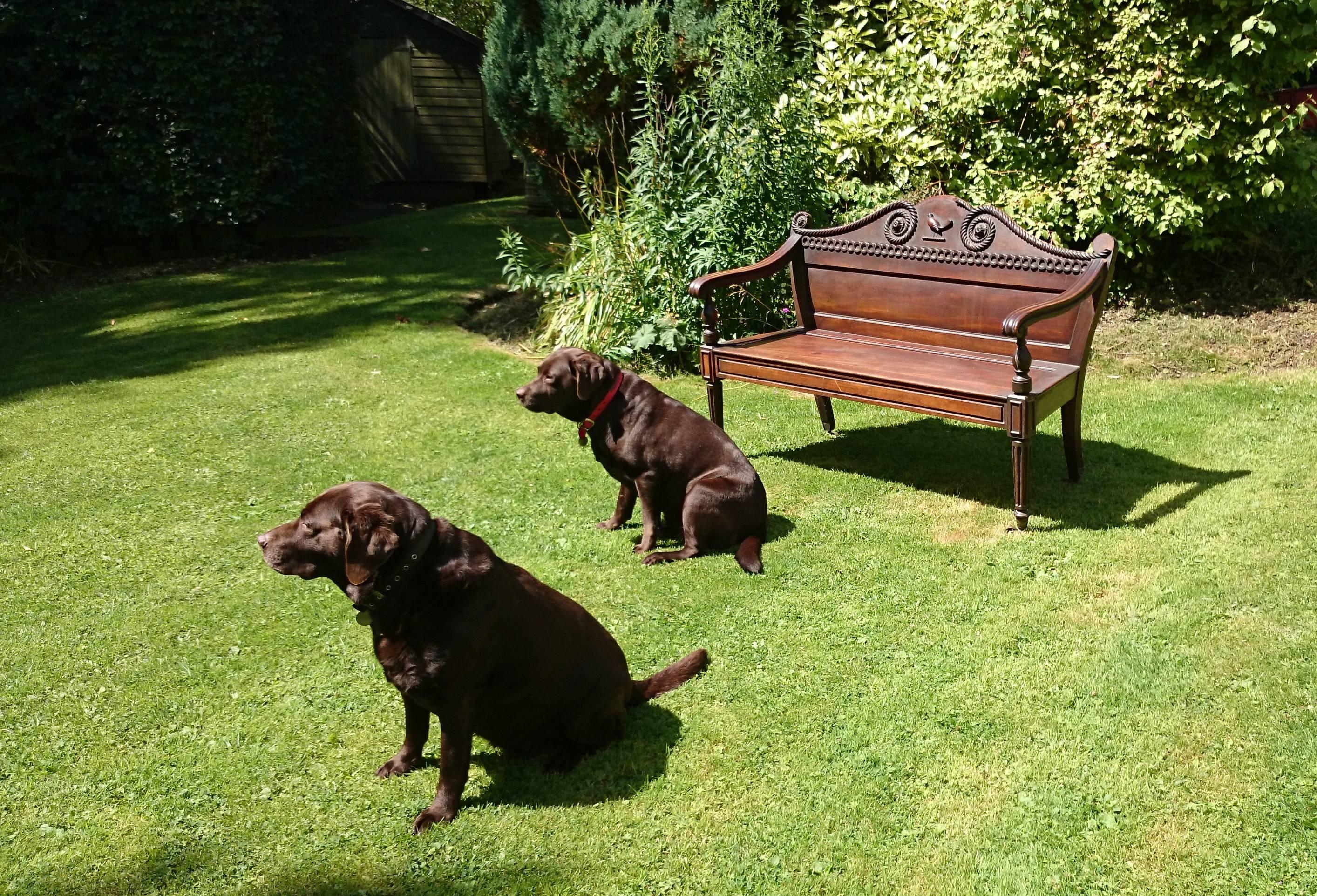 irish bench