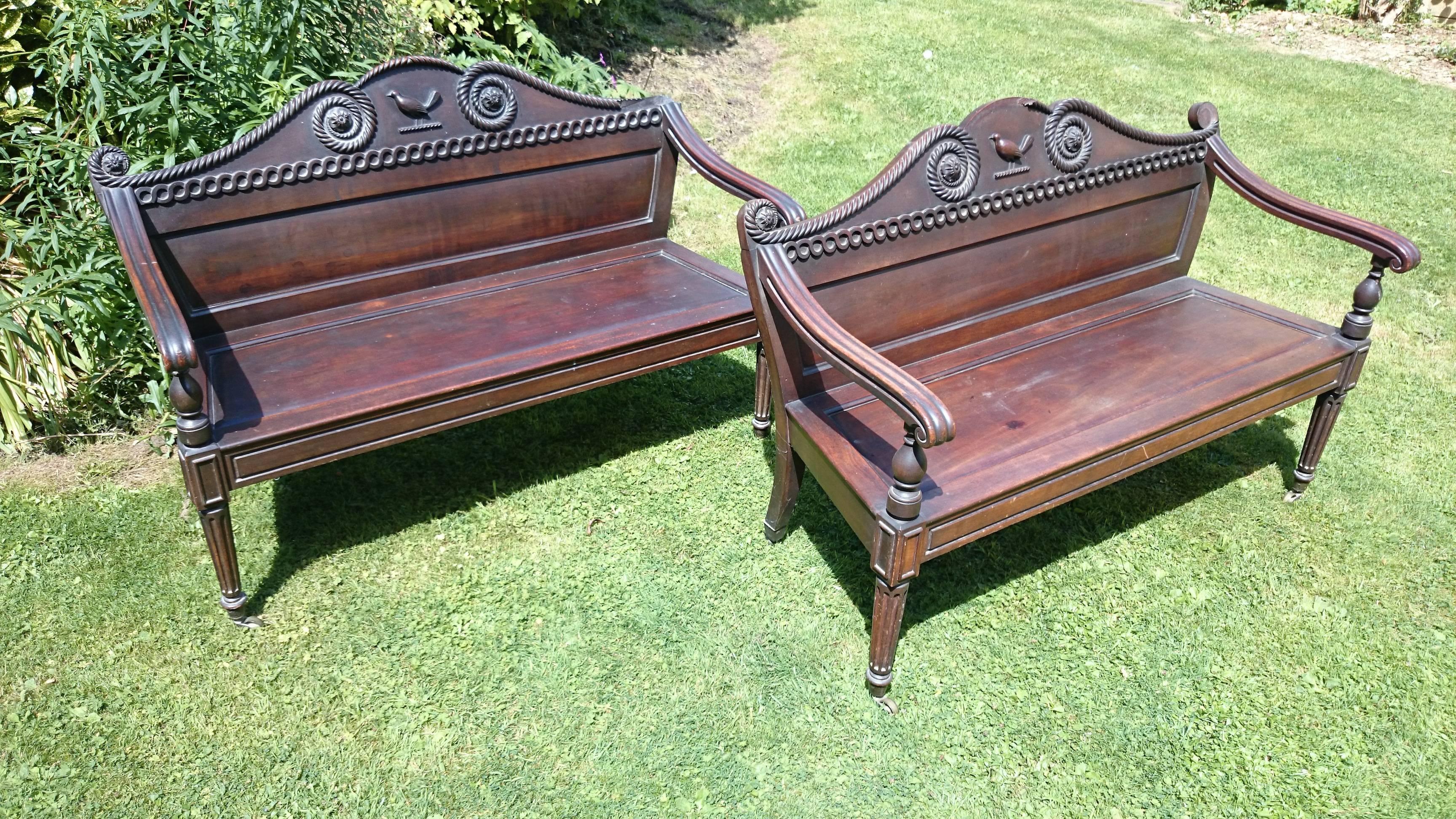 Rochfort Benches, Pair Irish Regency Mahogany Benches Original Family Owner For Sale 2