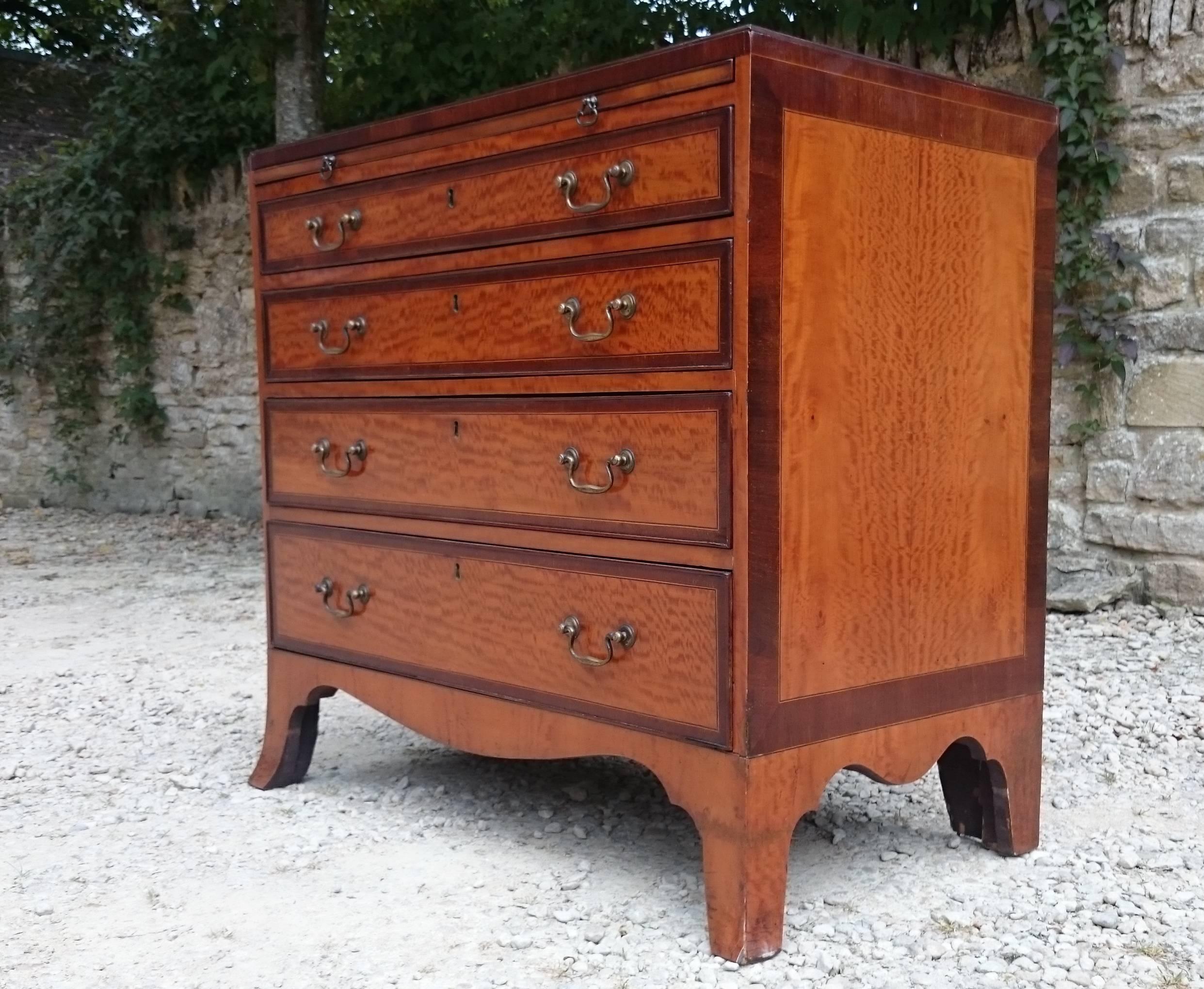 English Satinwood Chest of Drawers