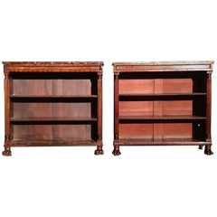 Two Rare and Important Early 19th Century Regency Antique Bookcases