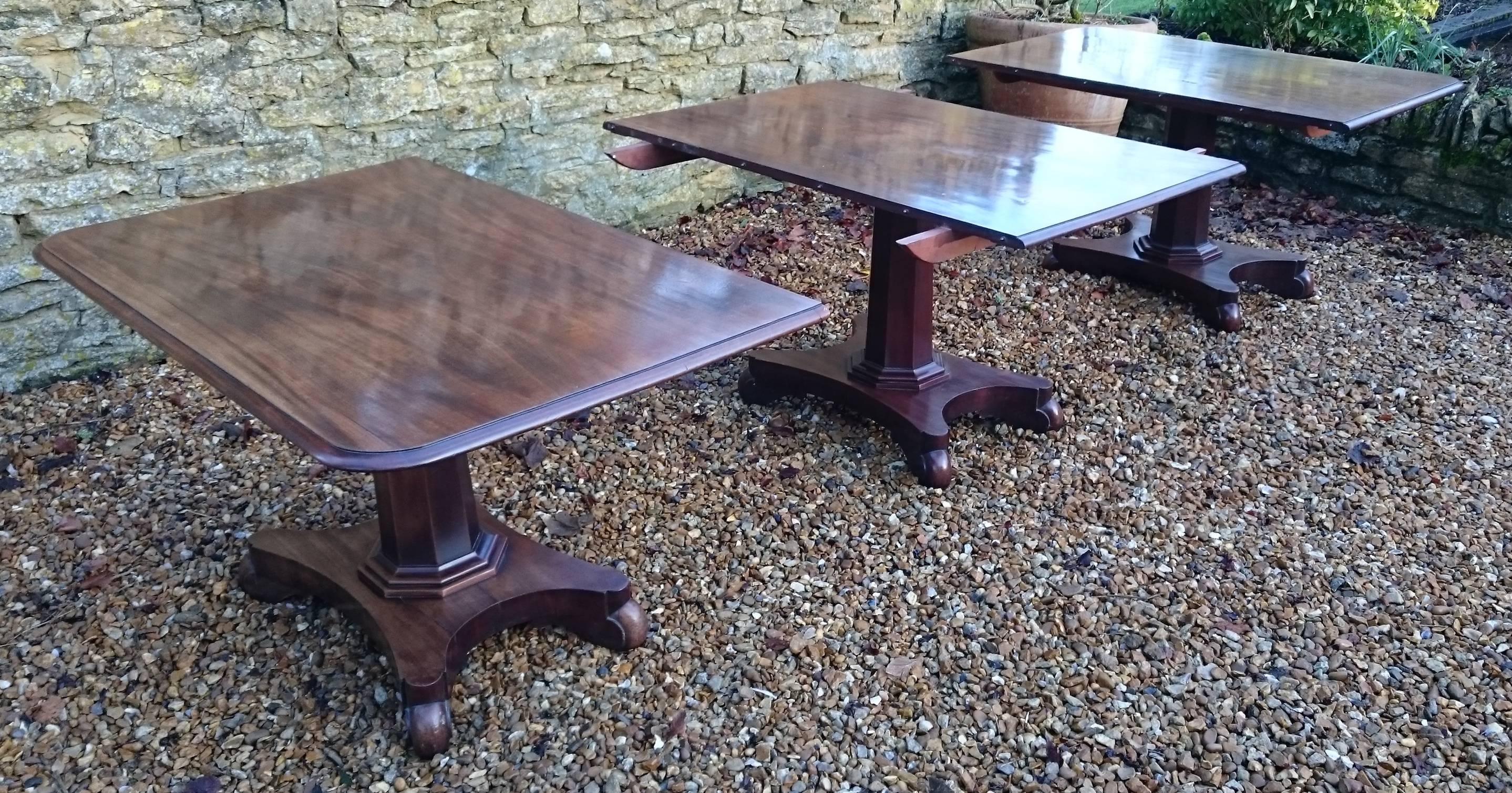 19th Century William IV Period Mahogany Antique Three Pedestal Dining Table For Sale 3