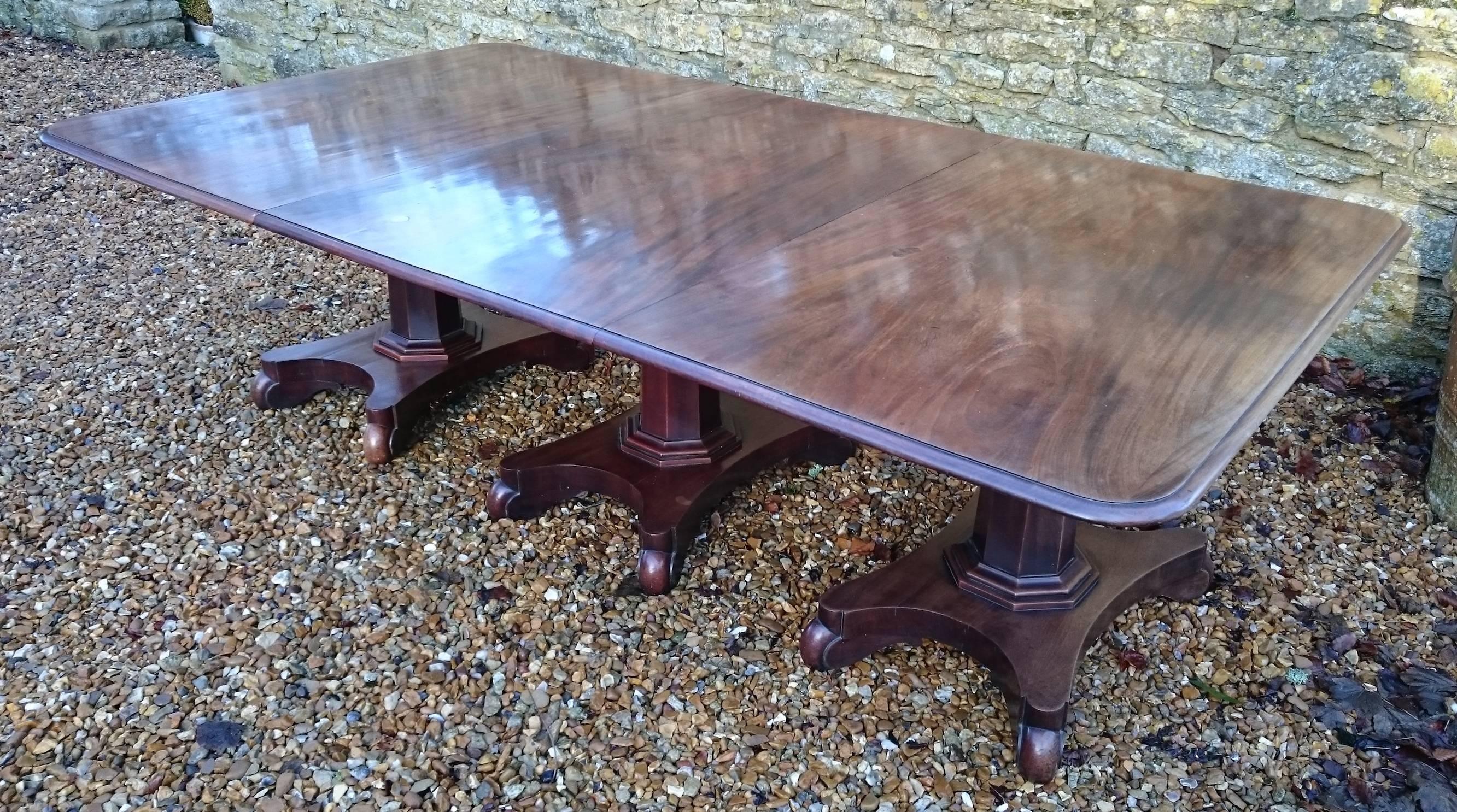 19th Century William IV Period Mahogany Antique Three Pedestal Dining Table For Sale 2