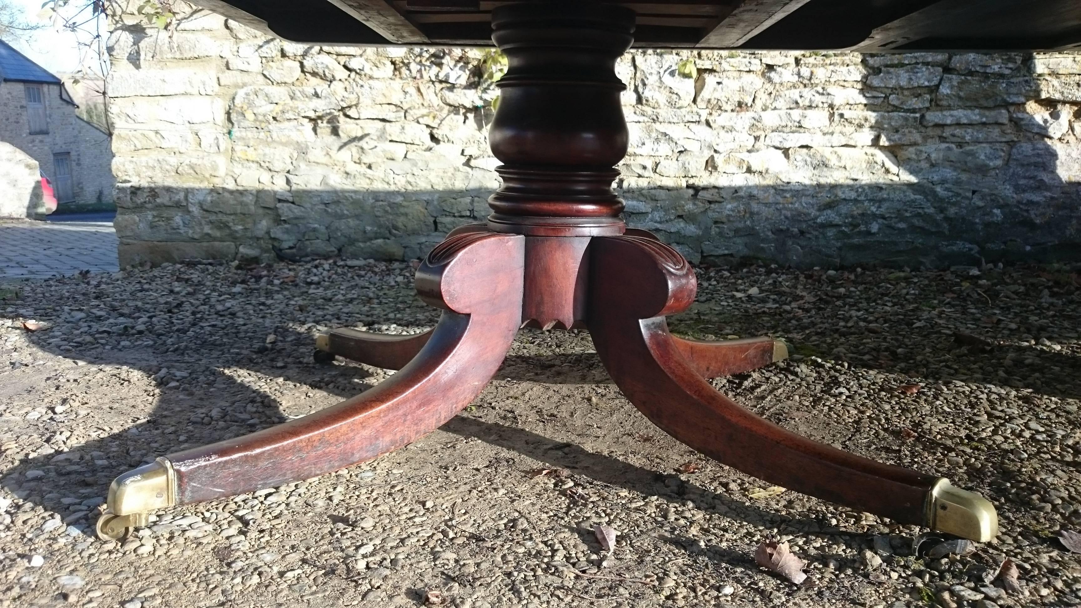 Large-Scale Important Early 19th Century Irish Three-Pedestal Dining Table 5