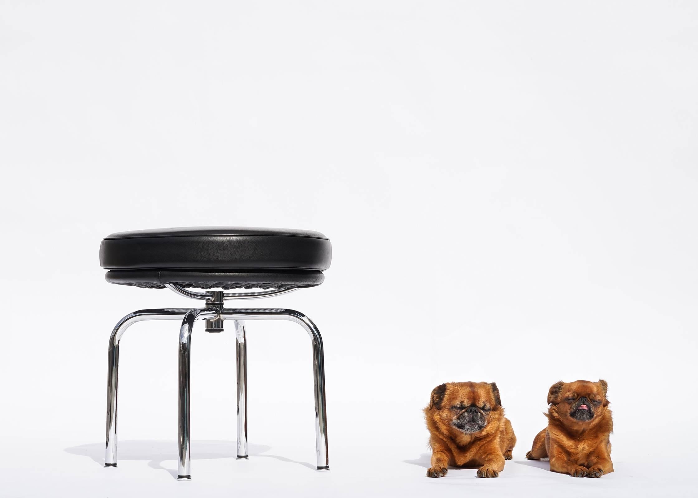 The LC8 swivel stool was designed in 1928 by Le Corbusier, Pierre Jeanneret, and Charlotte Perriand and consists of a round, thickly padded seat fitted on top of a curving claw-like base of tubular steel that resolves in a swivel mechanism, giving