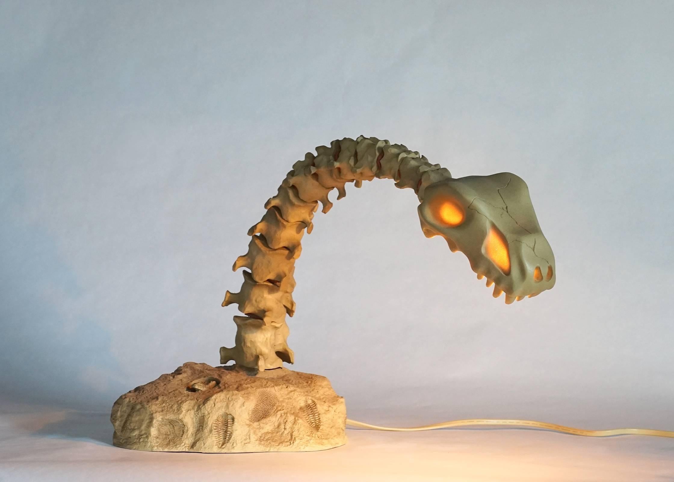 Whimsical yet functional with fully articulated neck vertebrae. The heavily weighted base makes the lamp very stable in all positions and features a faux fossilized surface and integrated switch with camouflaged fossil cap. Dimensions are variable.