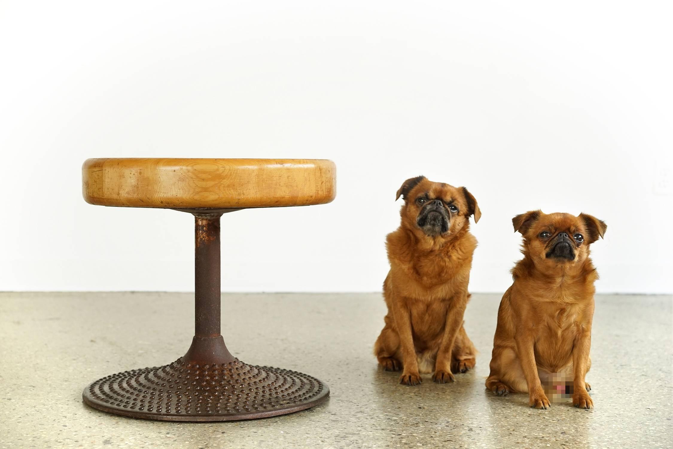 All original. Solid butcher block top. Solid cast iron base with studded surface and lovely natural patina.