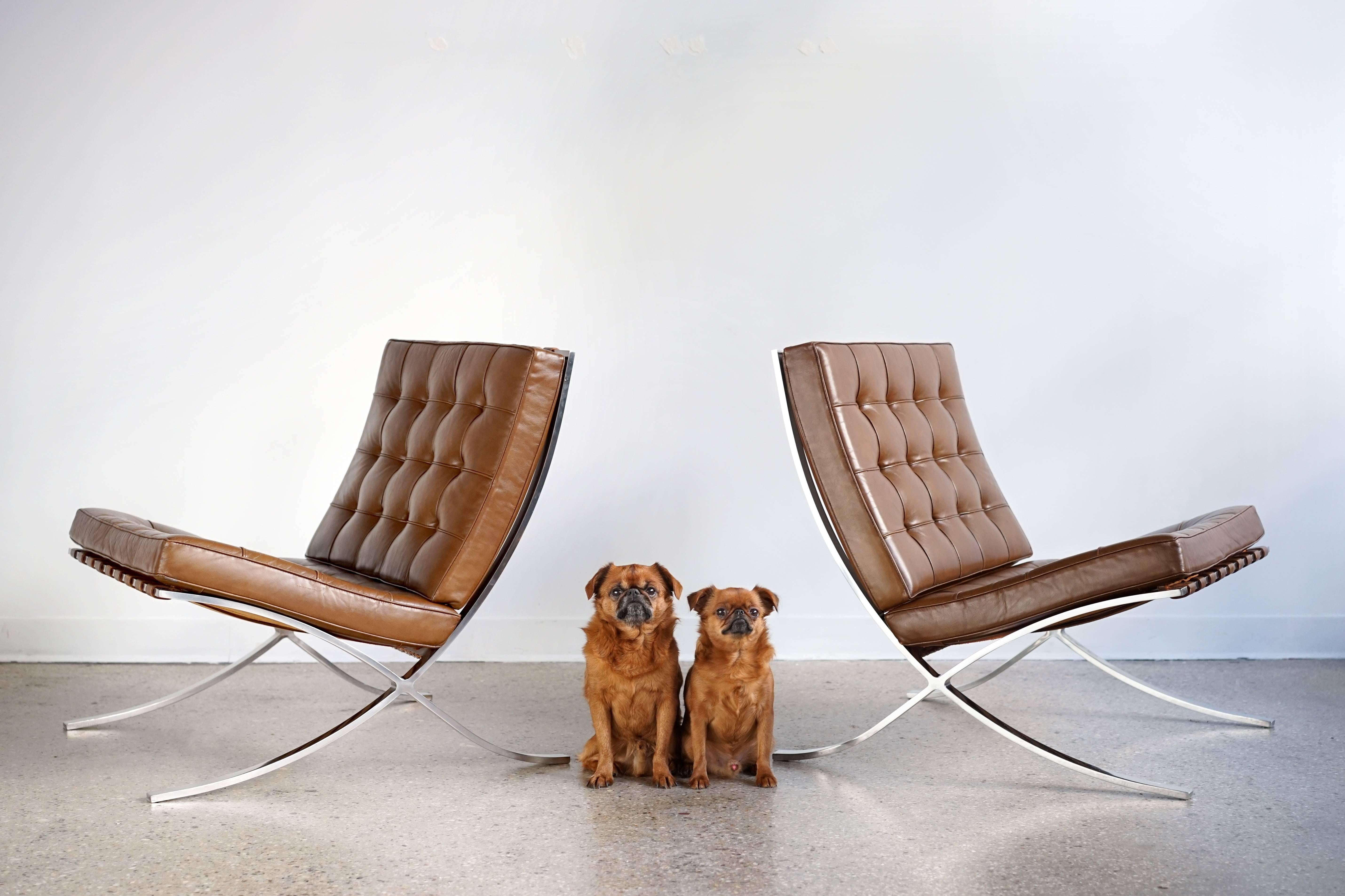 Luxurious, iconic pair in fine, all original condition with original Knoll labels as shown. Bright polished steel frames. Quilted leather cushions suspended on leather straps. Originally designed in 1929, this authentic pair was manufactured by