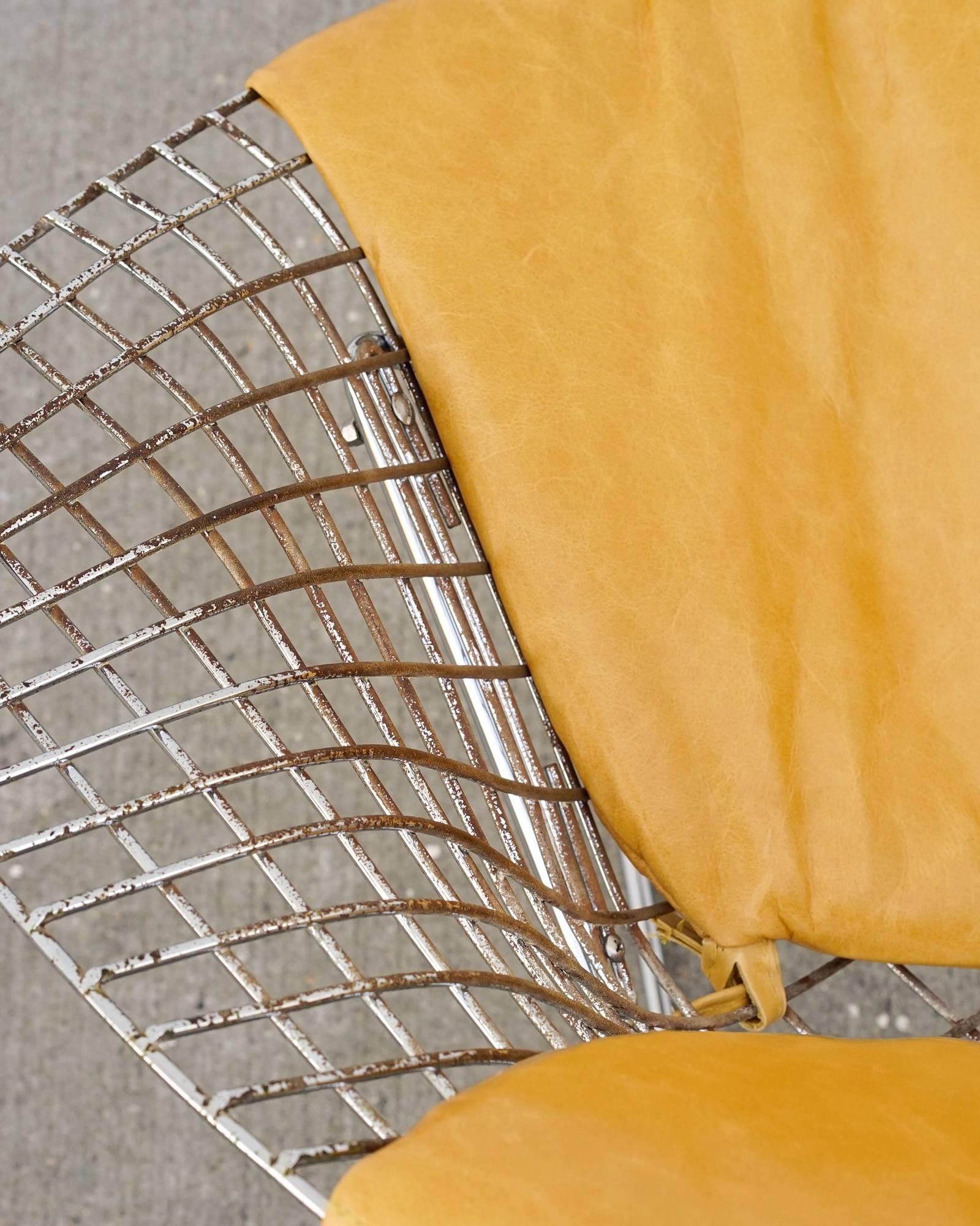 Leather Bertoia Diamond Chairs for Knoll
