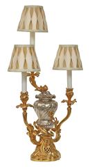 French 19th Century Louis XV St. Silvered Bronze and Ormolu Lamps