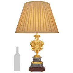 French 19th century Louis XVI st. Ormolu and Marble lamps