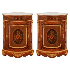 Paire de commodes françaises du XIXe siècle, de l'époque Napoléon III, en bois de tulipier et en bronze doré