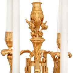 pair of French 19th century Rouge Griotte marble and Ormolu candelabras