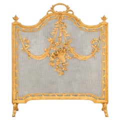 French 19th century Louis XVI st. Ormolu fire screen