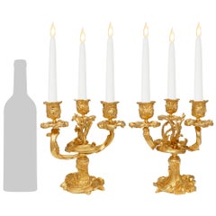 Paire de candélabres en bronze doré Louis XV du XIXe siècle