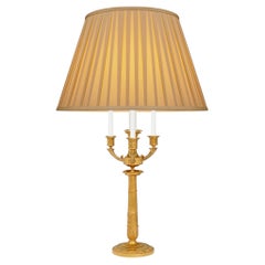 French 19th century Neo-Classical st. Ormolu lamp