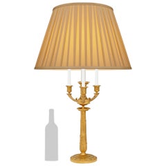 French 19th century Neo-Classical st. Ormolu lamp