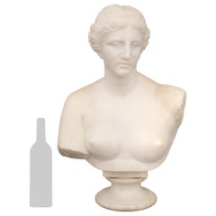 Italian 19th century white Carrara marble bust of Venus de Milo