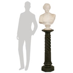 Eine Büste der Venus von Milo aus italienischem Carrara-Marmor mit Marmorsockel