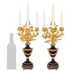 pair of French 19th century Sévres Porcelain and Ormolu candelabras
