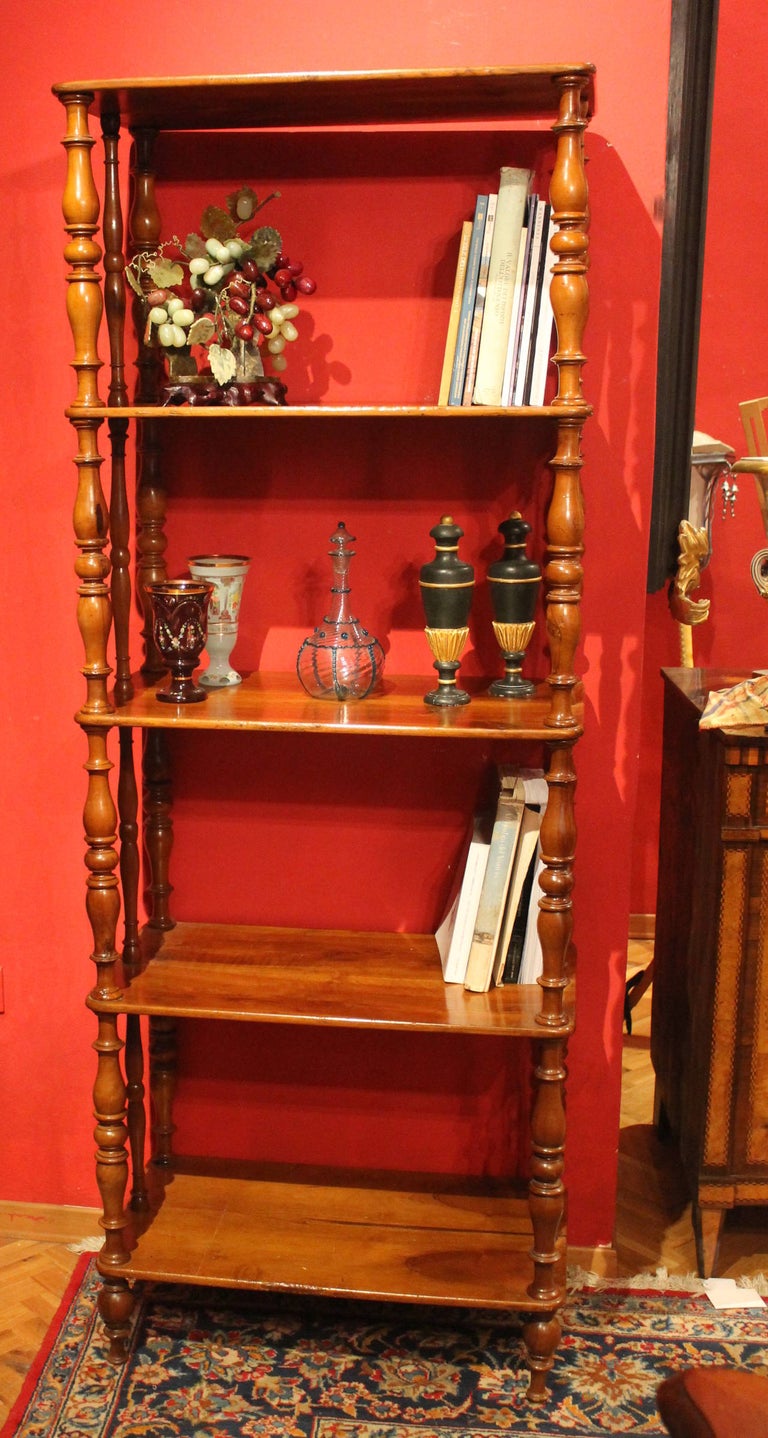 Italian 19th Century Regency Style Rustic Walnut Wood Open Shelves ...