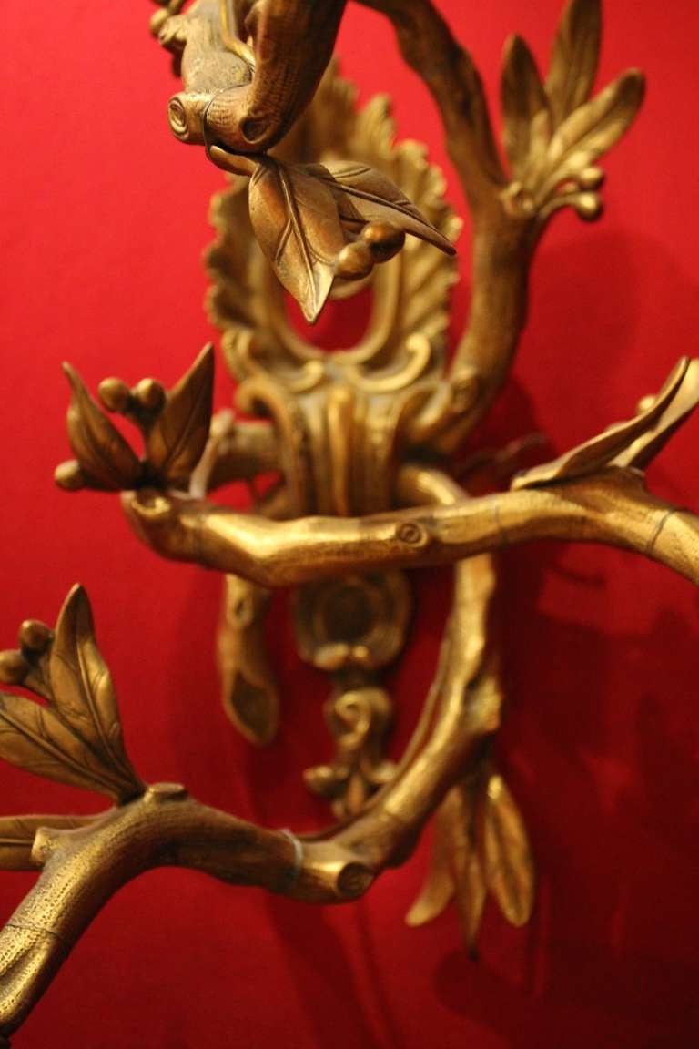 Pair of French 19th Century Gilt Bronze Three Lights Faux Bamboo Foliate Sconces (Rokoko)