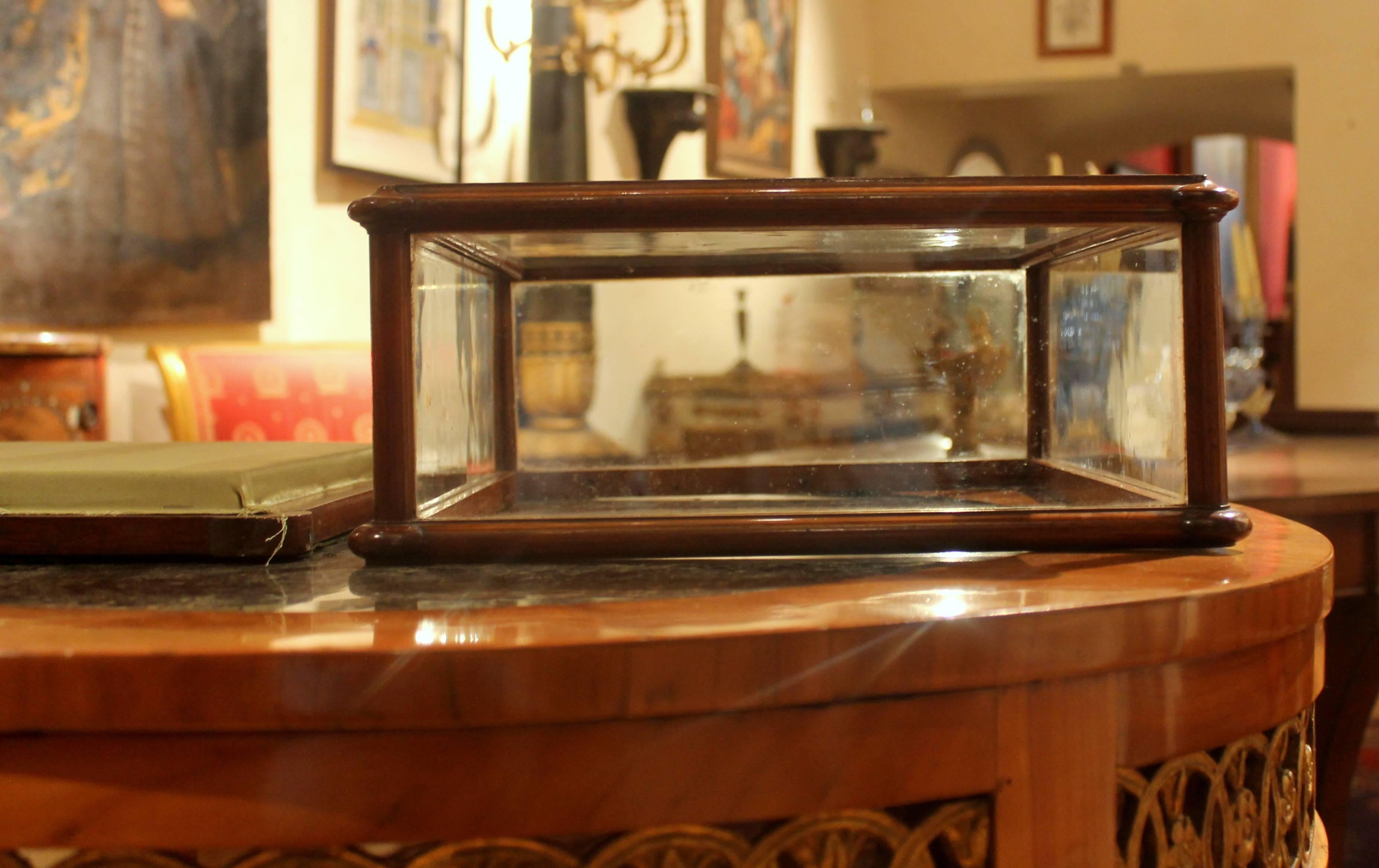 Victorian 19th Century Rectangular English Mahogany Tabletop Display Case or Showcase 