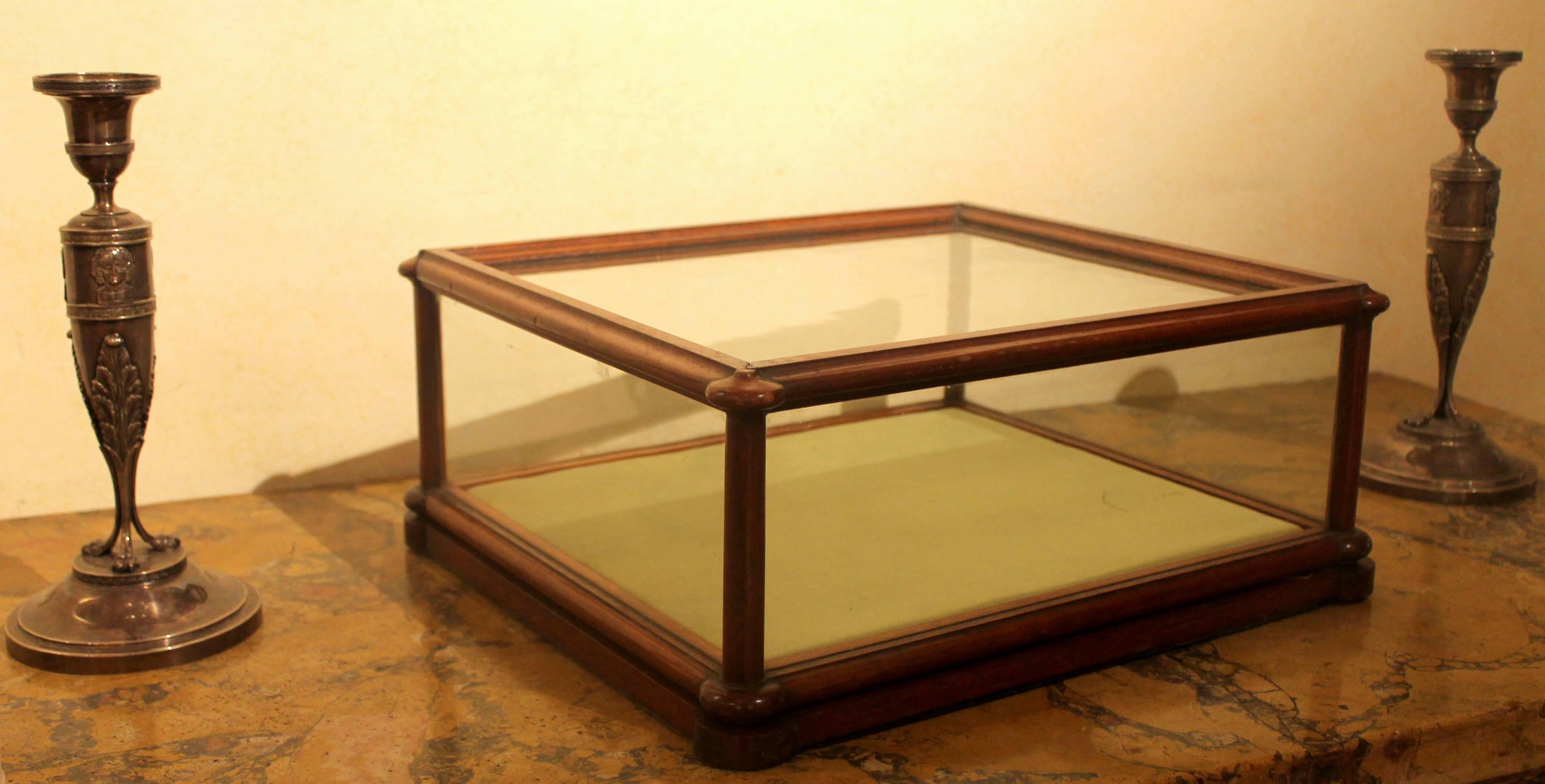 Hand-Carved 19th Century Rectangular English Mahogany Tabletop Display Case or Showcase 
