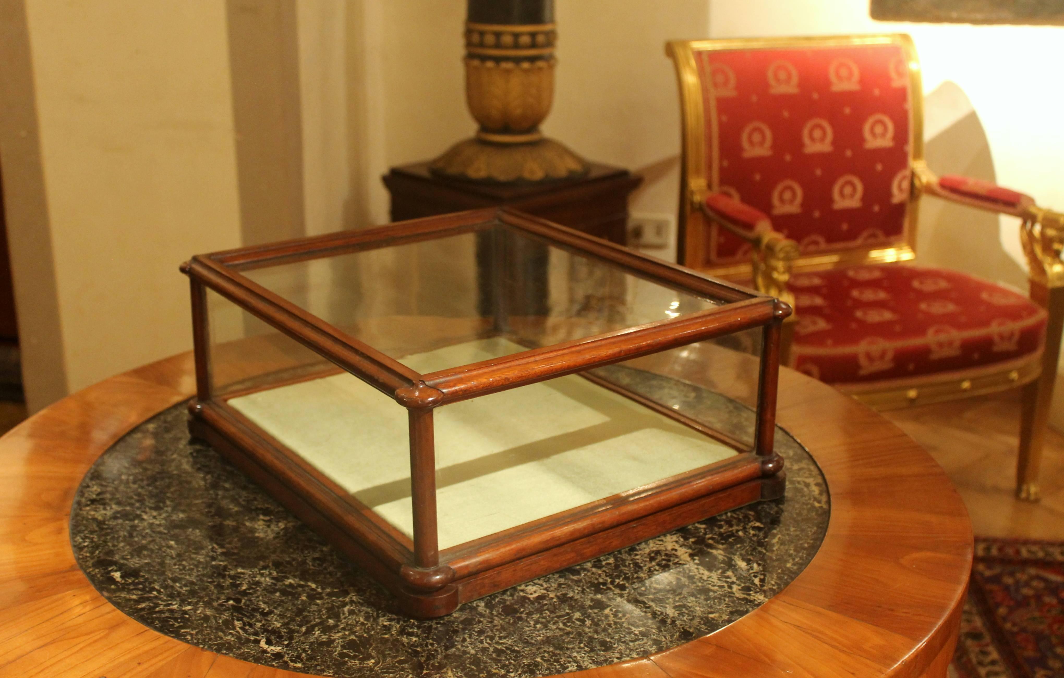 19th Century Rectangular English Mahogany Tabletop Display Case or Showcase  1