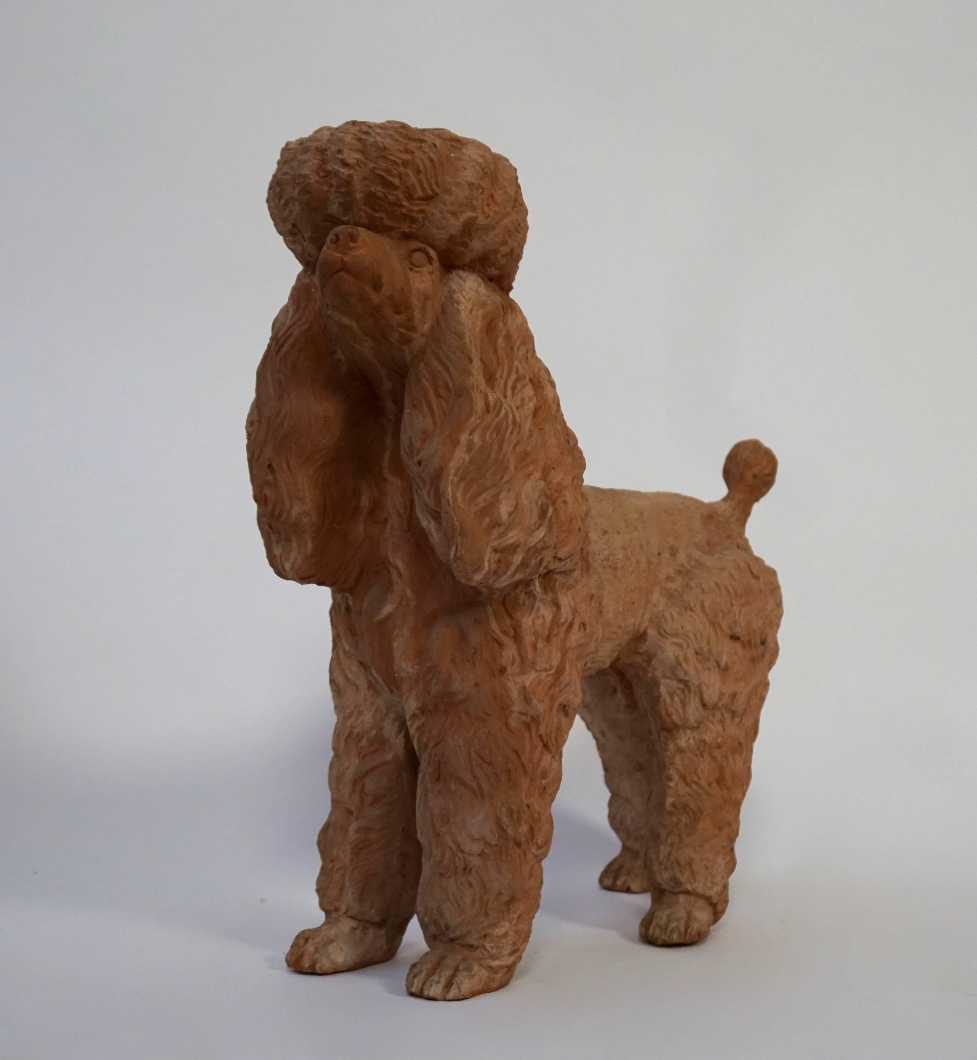 terra cotta dog