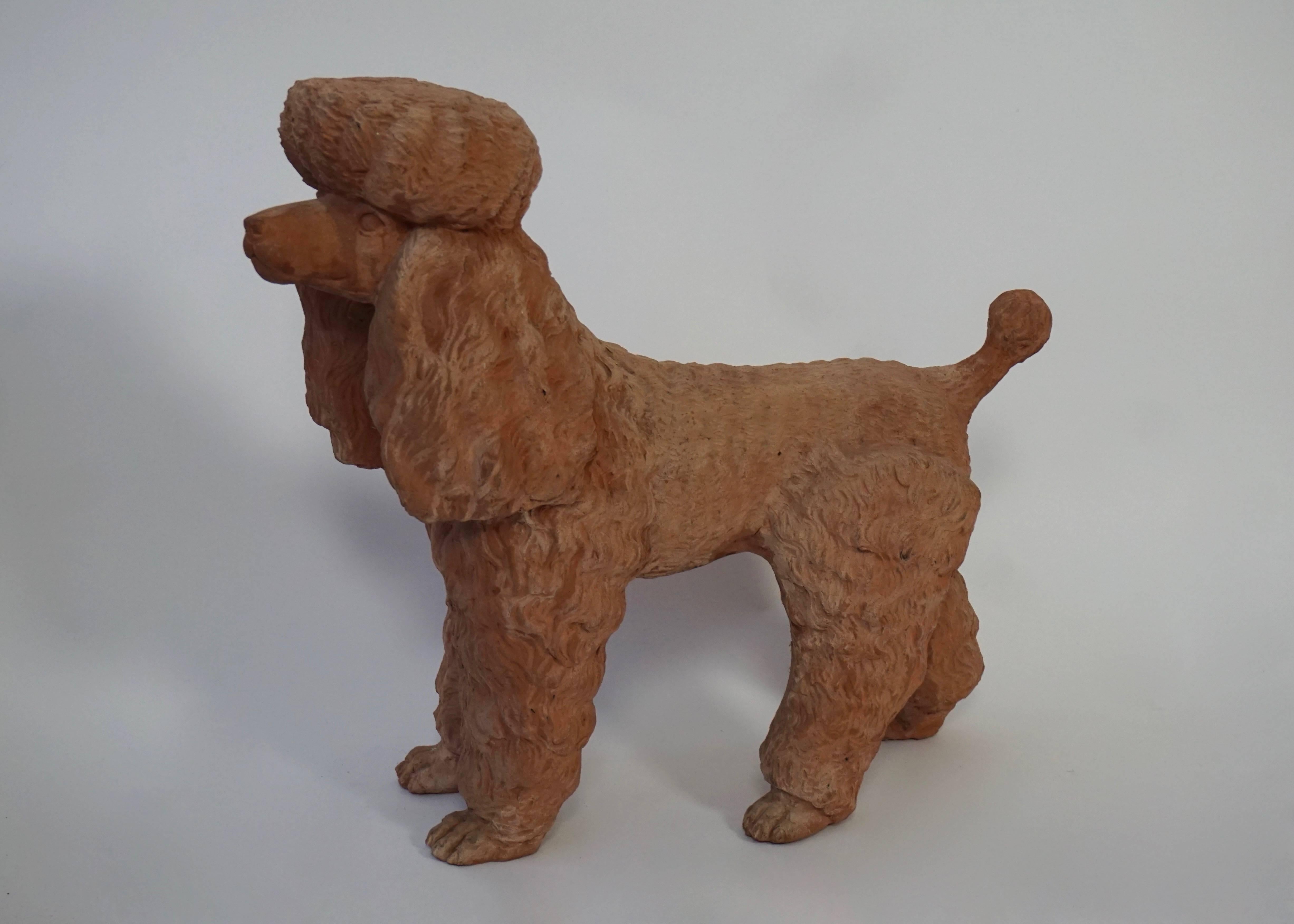 Mid-20th century charming poodle dog, Italian fabrication in terra cotta, circa 1950.
Measures: 
Height 48 cm.
Width 52 cm.
Depth 22 cm.