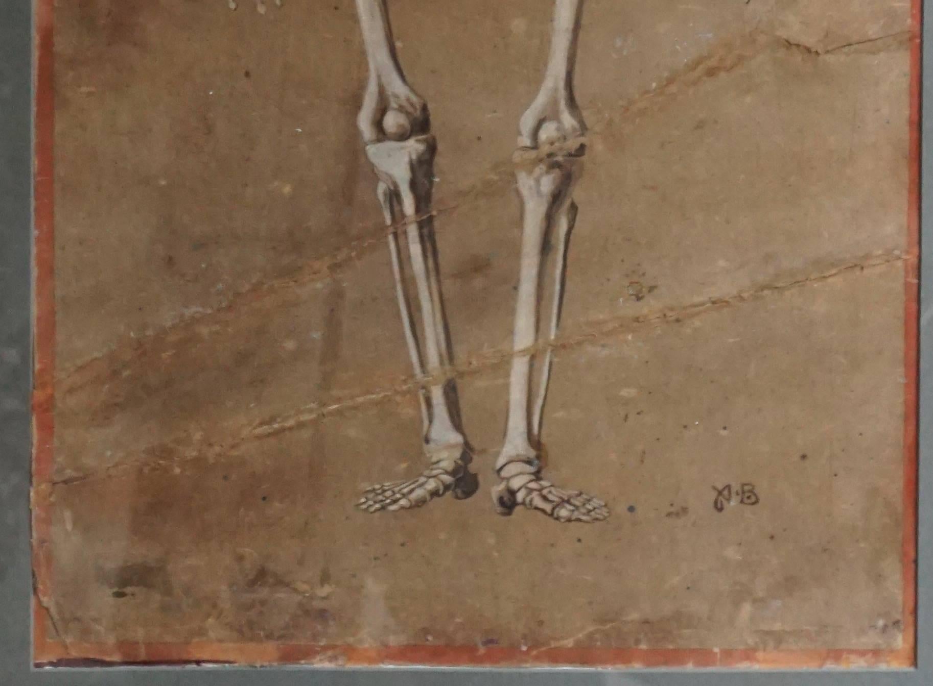 Italian Spectacular and Rare Pair of Watercolor Paintings Representing a Skeleton