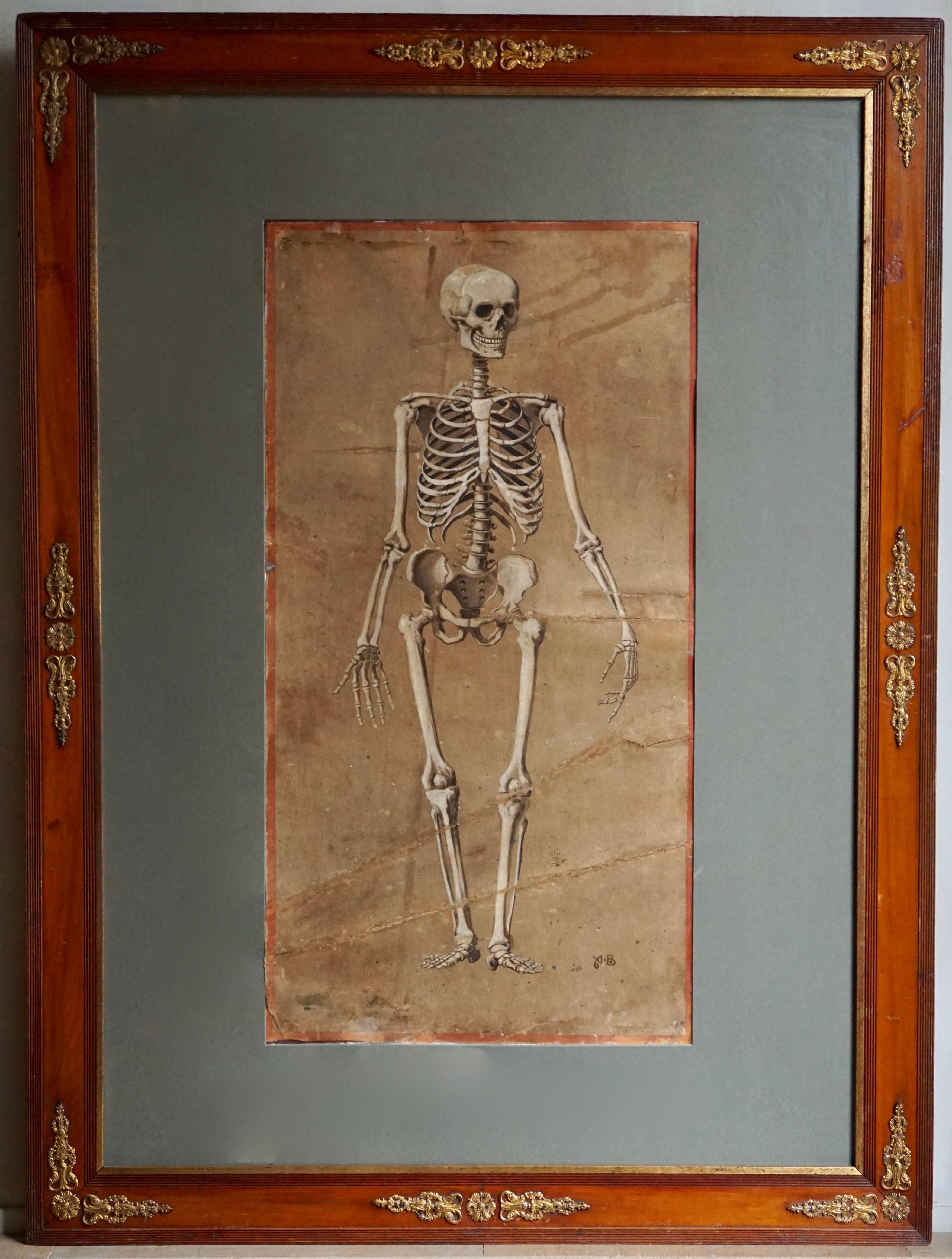 A spectacular and rare pair of watercolor on cardboard paintings representing a human skeleton from the front and from the back, surrounded by a red painted band.
Monogrammed: A.B., late 19th century.
Possibly due to their former use in a didactic
