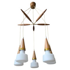 Mid-Century Modern 5-Light Cascade Chandelier in Wood and Brass, 1950s