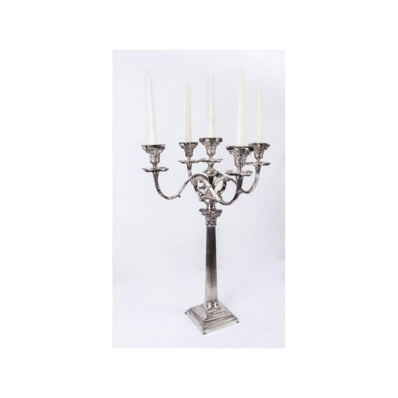 A gorgeous pair of silver plated five light Corinthian column candelabras, dating from the last quarter of the 20th century.

These elegant pieces feature intricately-detailed classical decoration throughout.

The craftsmanship is second to none