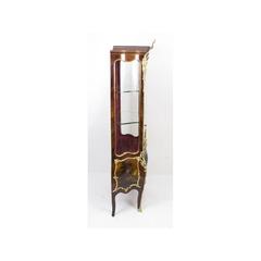 19th Century French Kingwood Vernis Martin Display Cabinet