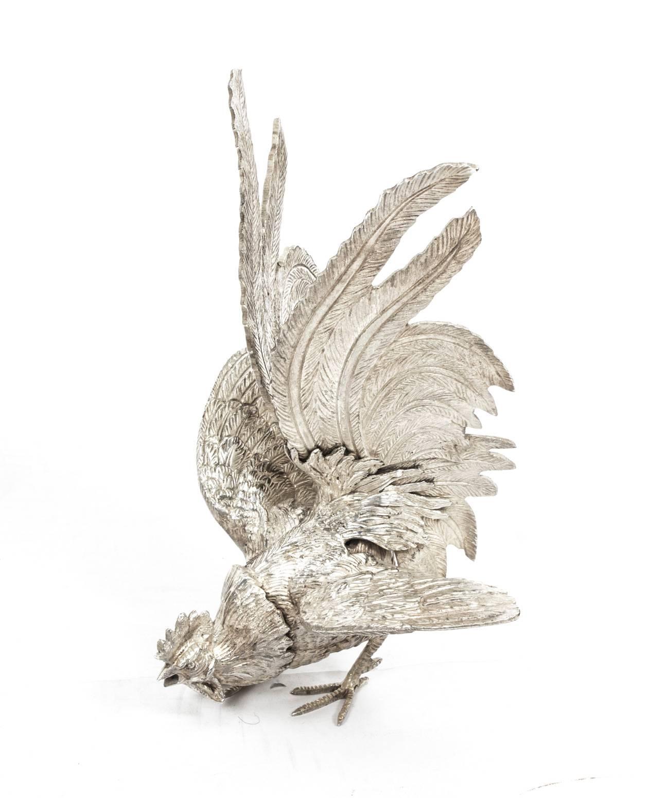 This is a very attractive antique pair of French silver plated fighting cockerels, circa 1880 in date.

These beautifully sculpted and hand-chased fine textured cockerels are in realistic aggressive and dynamic fighting poses with flowing plumage