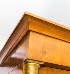 19th Century Biedermeier Empire Viennese Cabinet