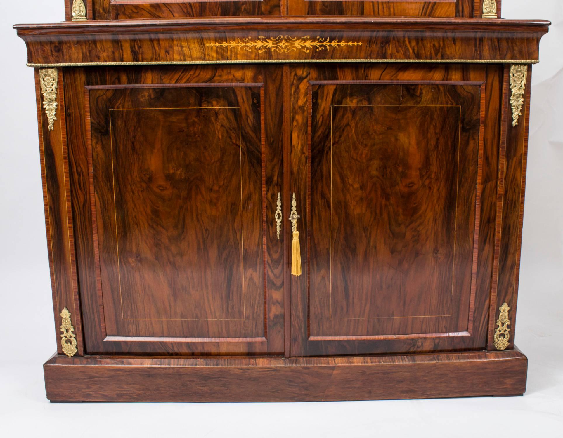 19th Century Burr Walnut and Inlaid Bookcase Display Cabinet 2